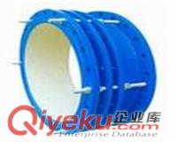 SSQ-1型套管式伸縮器 生產(chǎn)廠家價格【瑞昌】原始圖片2