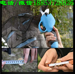 翔工果樹電動修枝剪電剪子原始圖片2