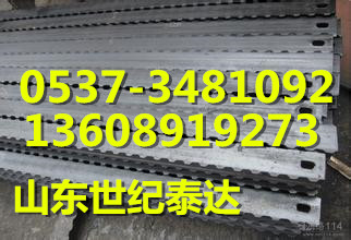 防火柵欄兩用門 防火及柵欄門