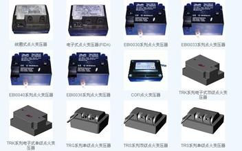 供應飛達2X5KV，2X4KV，2X6KV，1X8KV點火變壓器 原始圖片2