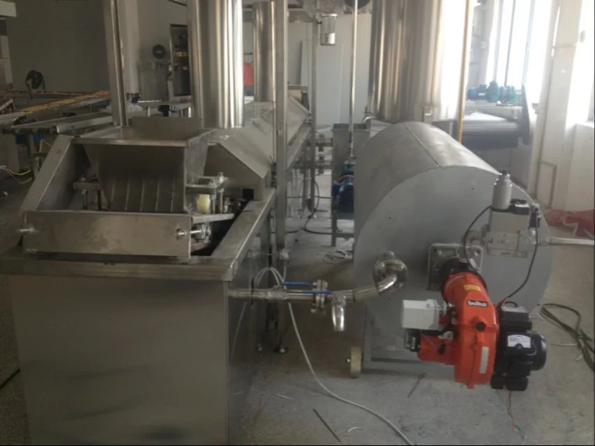 RS44/1单段火燃气燃烧器/RS44MZ两段火燃气燃烧器