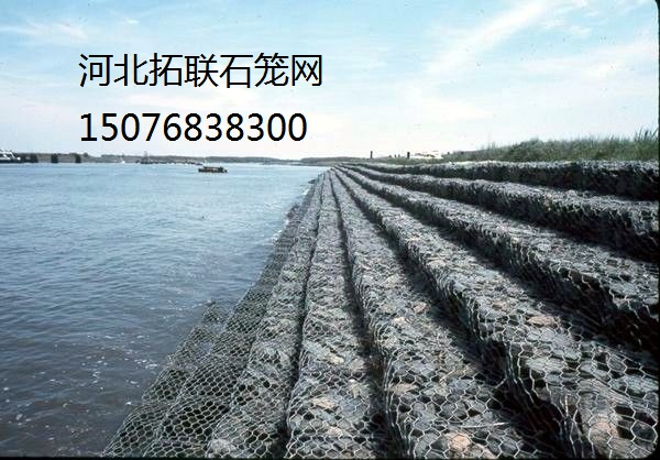 鉛絲籠網(wǎng)價格河北鉛絲籠網(wǎng)廠家原始圖片3