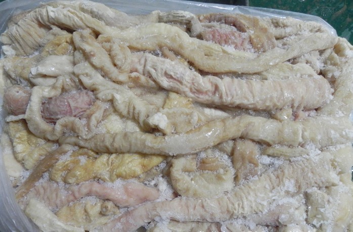 銷售進口冷凍食品馬小腸,五花肉,帶魚,豬口條,豬頭,雞爪