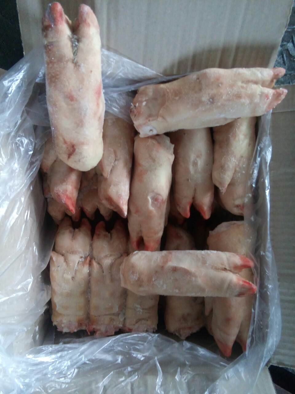 銷售進口冷凍食品馬小腸,五花肉,帶魚,豬口條,豬頭,雞爪原始圖片3