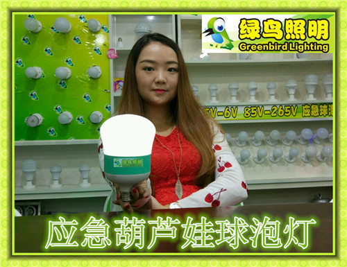 梅河口市绿鸟照明应急葫芦娃葫芦娃球泡灯应急灯厂商