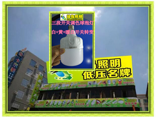 龙井市绿鸟照明分段变光球泡灯哪个厂商好