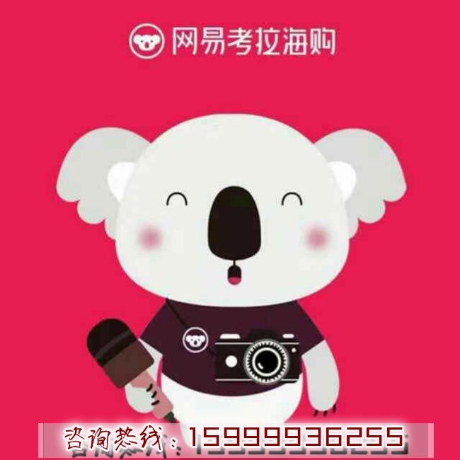阿貍網賺 屌絲如何逆襲白富美與高富帥？ 博客網賺