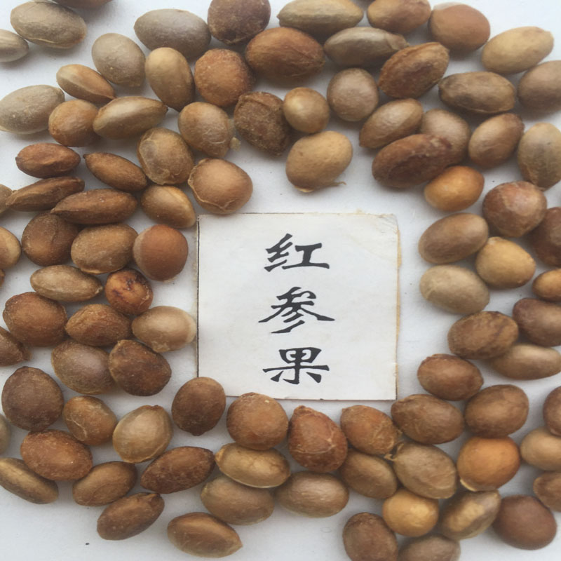 红香果种子，红参果种子供应商