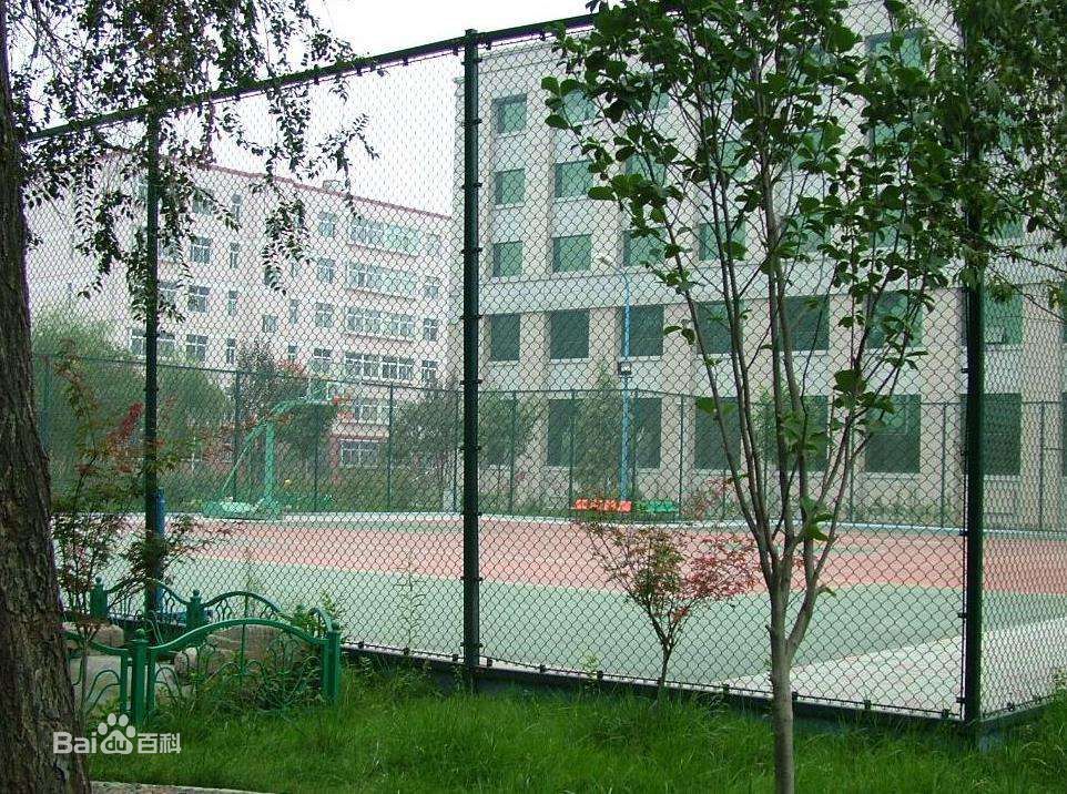 體育場護欄怎么賣 球場圍欄哪家好 博賽元廠家直銷原始圖片2