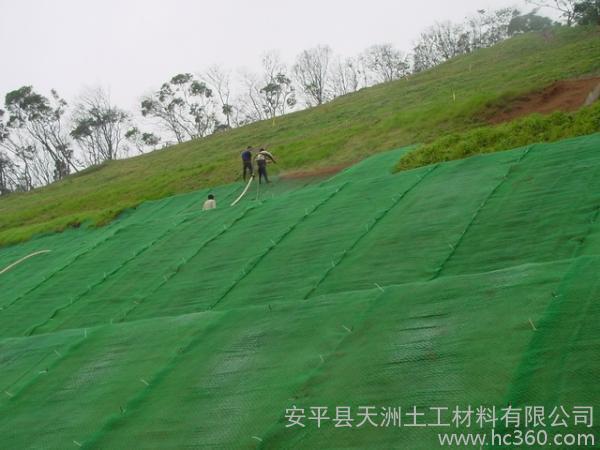 貴陽博賽元廠家三維網批發、貴州出售三位植被網、三維復合土工網