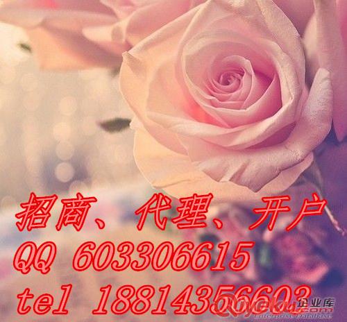 上海華通白銀現(xiàn)貨招商代理