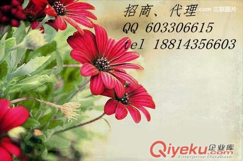 興蜀大宗申請(qǐng)加盟代理原始圖片3
