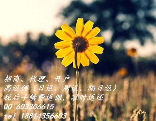 天津華爾金招代理支持盈利