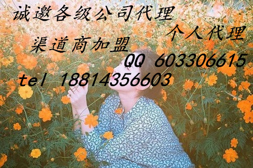 盛和環(huán)球個人代理日返手續(xù)費