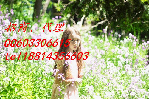 天津華爾金招代理支持盈利原始圖片2