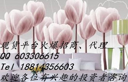 天津華爾金招代理支持盈利原始圖片3