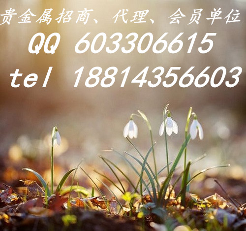 上海華通白銀大宗日返代理