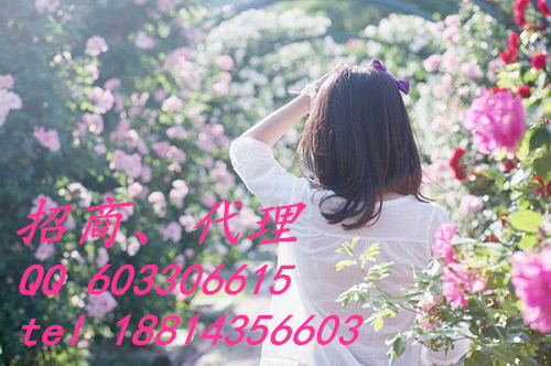 興蜀大宗芳烴招商盈利代理