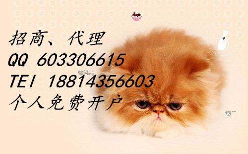 興蜀大宗芳烴招商盈利代理原始圖片2