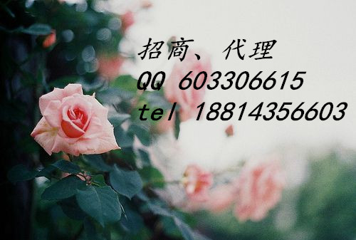 興蜀大宗芳烴招商盈利代理原始圖片3