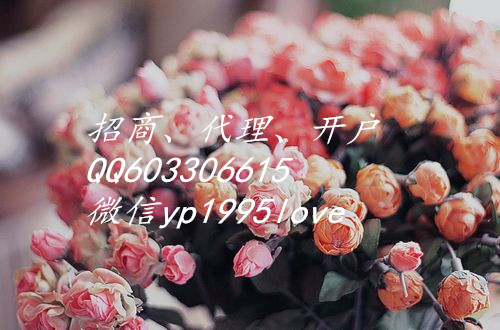 盛和環(huán)球個(gè)人代理點(diǎn)差返傭