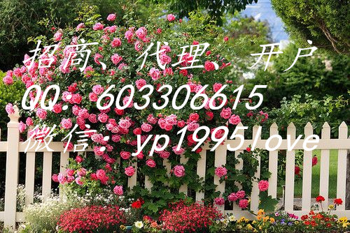 上海華通白銀誠招渠道商與代理原始圖片3