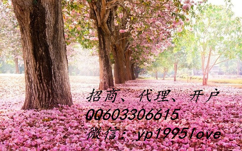 盛和環球大宗商品招商代理