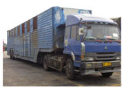 東莞到湖北省/江西省/陜西省/貴州省/河南省回頭車\返程車調(diào)度原始圖片2