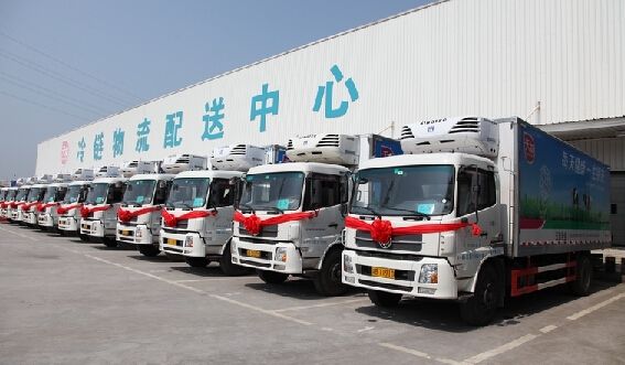 清溪電子通訊行業(yè)國際物流