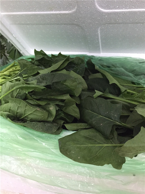 享受美食工佛山蔬菜配送公司開始