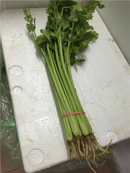 享受美食工佛山蔬菜配送公司開始