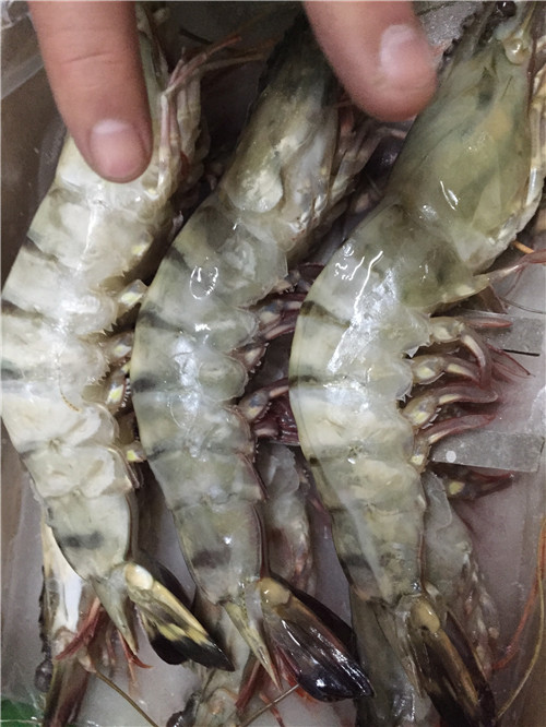 中堂蔬菜配送公司的用心，每個人都感受到