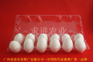 吸塑雞蛋托裝雞蛋塑料盒子透明雞蛋包裝盒