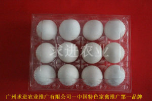 吸塑雞蛋托裝雞蛋塑料盒子透明雞蛋包裝盒原始圖片2