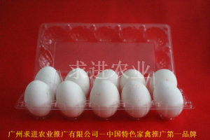 雞蛋托裝雞蛋塑料盒子吸塑雞蛋包裝盒
