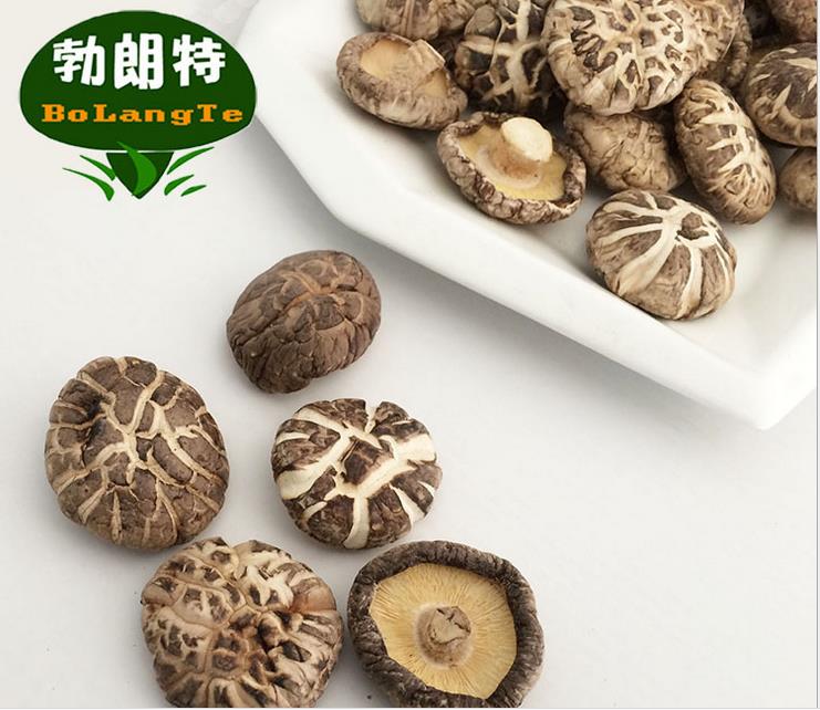 春栽】圓形花菇 春栽香菇 椎茸批發 AA1.8-2.6-3.2-4.0cm
