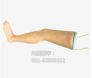 高級胰島素注射訓練模塊