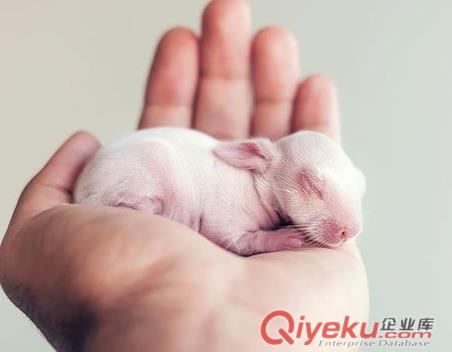 轉(zhuǎn)讓上海5000萬基金公司