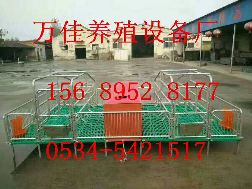 質量有保障的母豬產床生產廠家原始圖片2