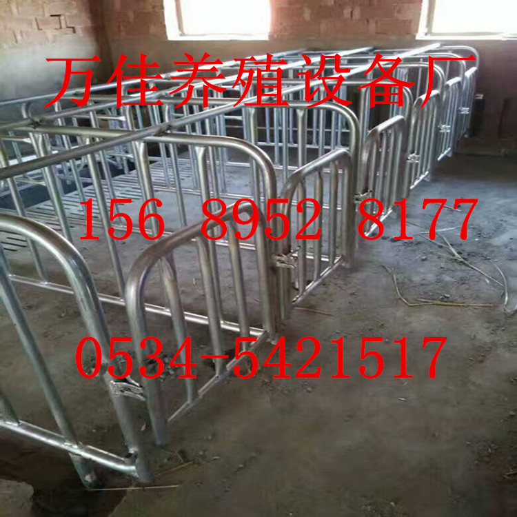 生產(chǎn)母豬定位欄哪家zzy原始圖片2