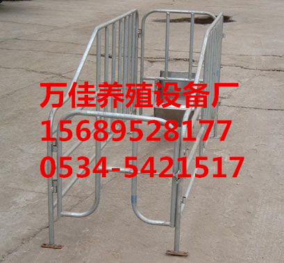 生產(chǎn)母豬定位欄哪家zzy原始圖片3