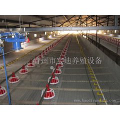 廠家直銷自動豬舍料線  喂料系統(tǒng)原始圖片3