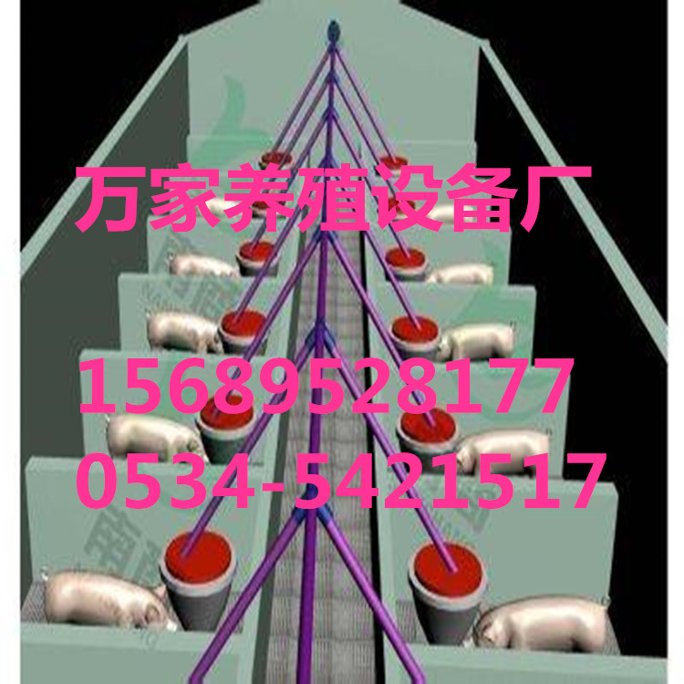 豬舍全自動飼喂料線