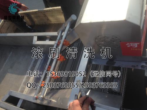 烏梅清洗機(jī)