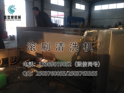 烏梅清洗機(jī)