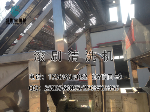 李子清洗機(jī)