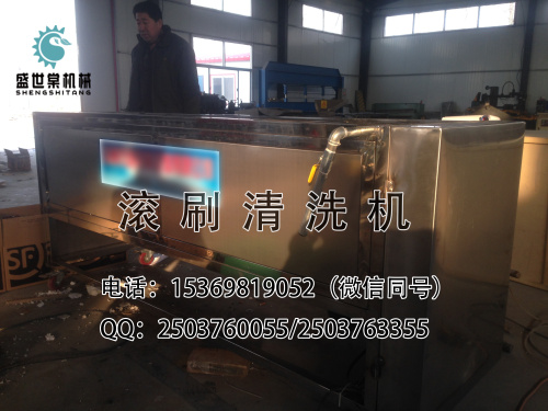 核桃清洗機原始圖片3