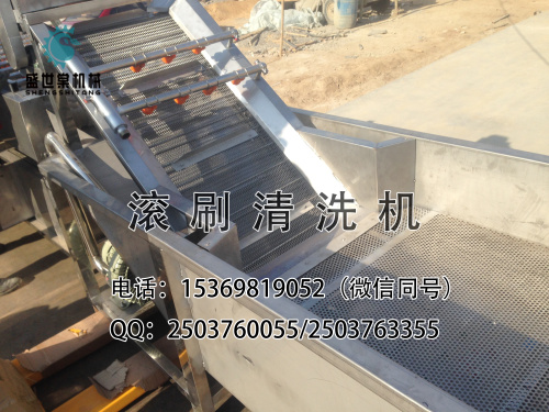 沙棗清洗機