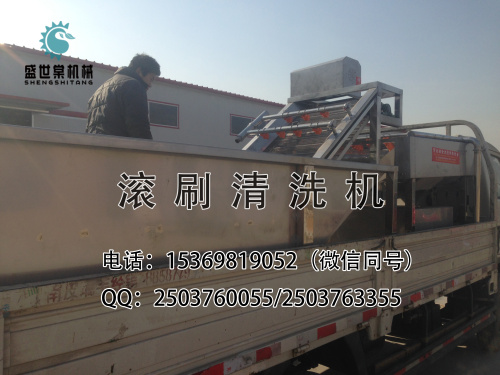 牛甘果清洗機(jī)
