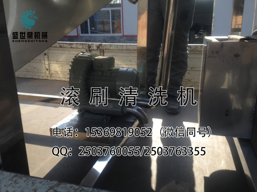 牛甘果清洗機(jī)